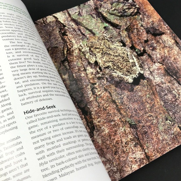 Frogs: A Chorus of Colors; Beautiful Photos & Illustrations; Excellent! 160 pgs - Picture 8 of 9